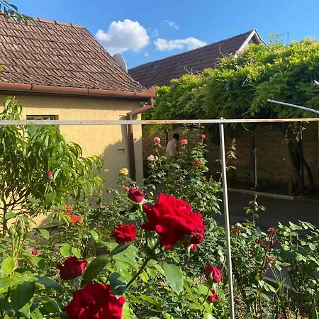 Tatil Evi Sun House *